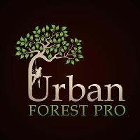 Urban Forest Pro image 1
